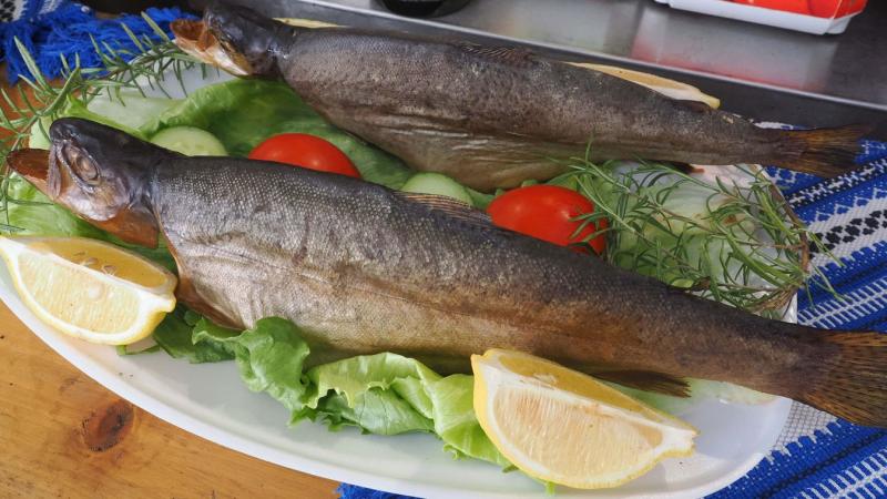 Képeken örökítettük meg a tapolcai fesztivál legemlékezetesebb pillanatait, ahol a halételek és a borok kavalkádja igazi ínycsiklandó élményeket kínált.