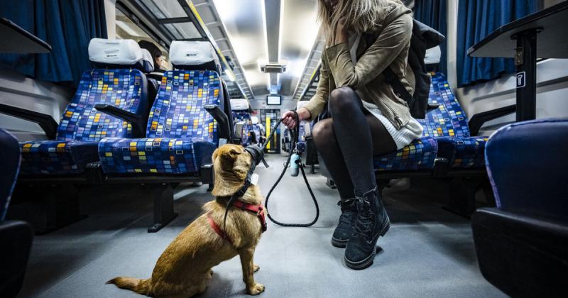 Szentkirályi és Lázár közötti megállapodás értelmében új, ingyenes közlekedési szolgáltatás indul. | Demokrata