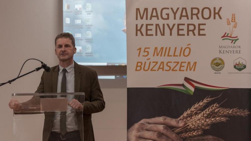 Szabolcs-Szatmár-Bereg megyében a Magyarok Kenyere program kiemelkedő népszerűségnek örvend. Az agrárkezdeményezés nemcsak a helyi gazdák támogatását célozza, hanem a közösségi összefogást is erősíti, hozzájárulva ezzel a vidéki élet fellendítéséhez. Az e