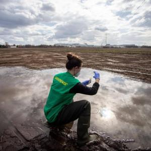 Már majdnem egy éve vár hiába a Greenpeace a hatóságoktól érkező válaszokra.