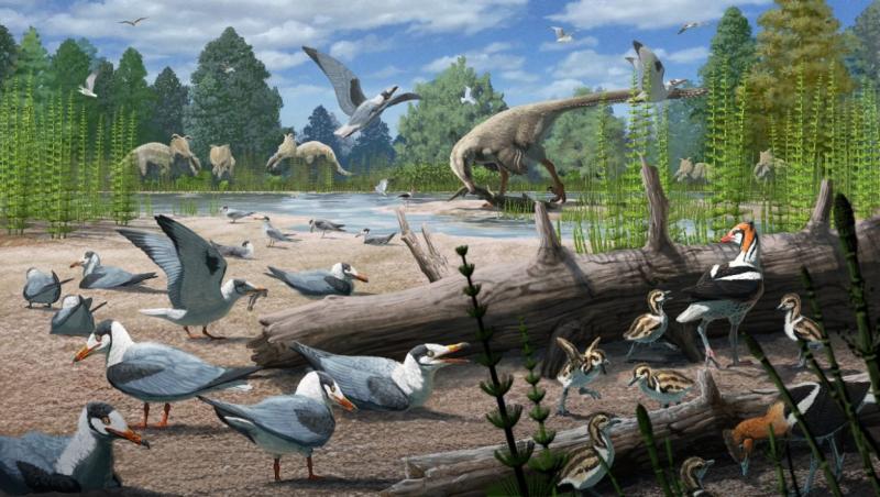 Már a kréta időszakban is fészkeltek madarak a sarkvidéki területeken, amint azt a National Geographic is említi. Ekkoriban a világ klímája jelentősen eltért a ma ismerttől, a sarkvidékek sokkal melegebbek voltak, lehetővé téve különféle madárfajok megtel