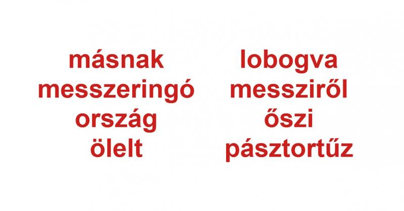 Műveltségi teszt a magyar irodalom területén: Az alábbiakban két kötelező versből származó 20 szót sorolunk fel. Kérlek, azonosítsd be a két kakukktojást a listában!